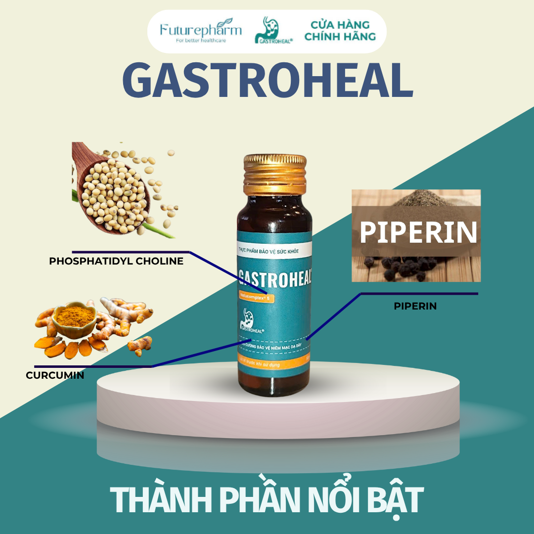 GASTROHEAL - Hỗ trợ điều trị viêm loét dạ dày tá tràng - Image 2