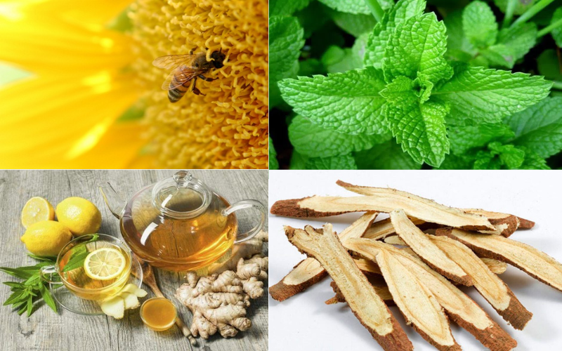 Nguyên liệu thiên nhiên như mật ong, gừng, bạc hà và cam thảo giúp giảm ho dai dẳng kéo dài hiệu quả mà không cần dùng kháng sinh